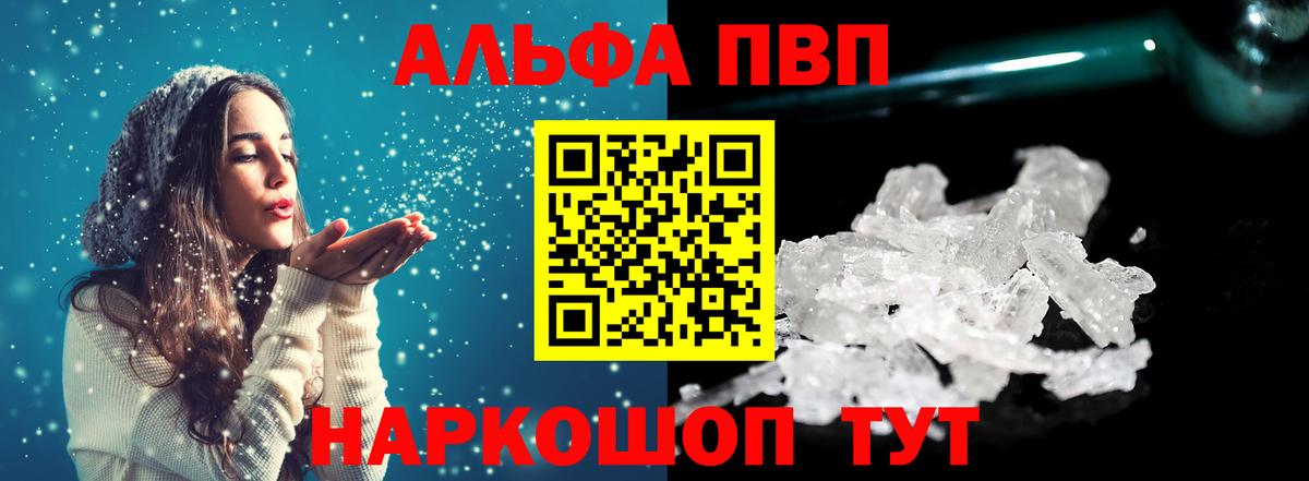 APVP СК Вологда