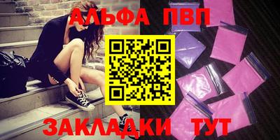 jwh Кингисепп