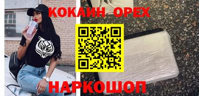 тгк Канаш