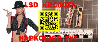 тгк Канаш