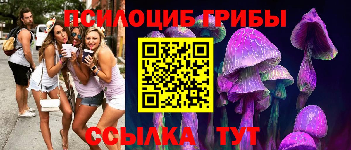 Вологда  Псилоцибиновые грибы Magic Shrooms  Вход с VPN  Галлюциногенные грибы Psilocybine cubensis 